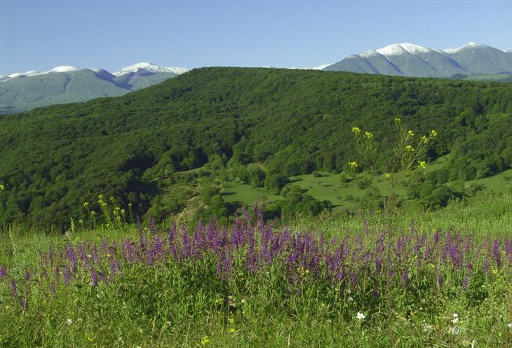Салатавия
